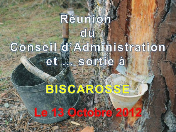  948 - Réunion du Conseil d'Administration + repas Biscarosse le 13 10 12 