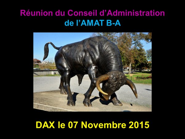 1313 - Réunion du Conseil d'Administration à DAX