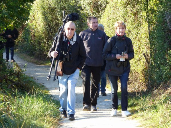 1448 - Sortie au parc ornithologique du Teich (suite)