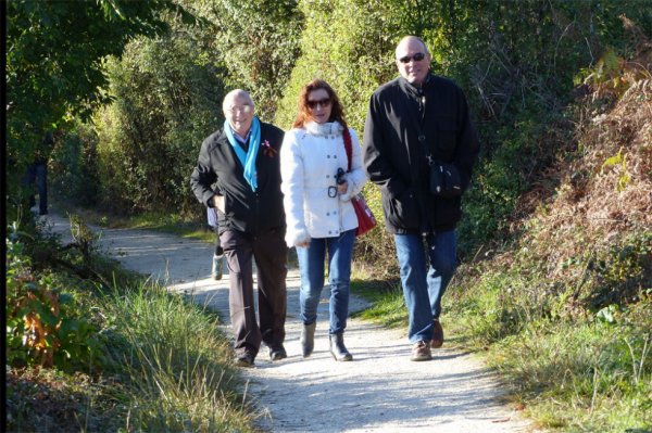 1450 - Sortie au parc ornithologique du Teich (suite)