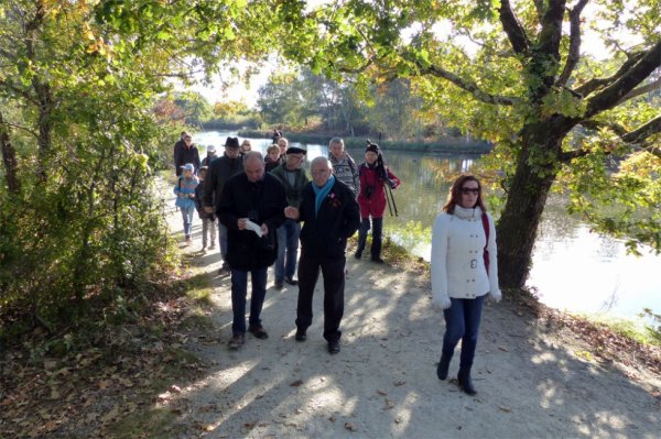 1455 - Sortie au parc ornithologique du Teich (suite)