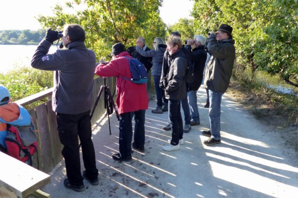 1458 - Sortie au parc ornithologique du Teich (suite)