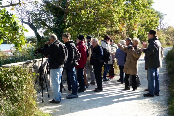 1465 - Sortie au parc ornithologique du Teich (suite)